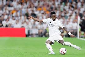 不少专家评 不少专家评